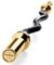 PhysKcal EZ Curl Bar, 1.2m Super EZ Olympic Bar für Standard 50mm Hantelscheiben, Hervorragend für den Aufbau von Bizeps und Trizeps, Golden & Schwarz