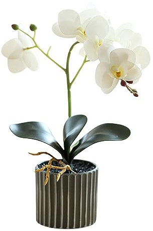Simulated Phalaenopsis Orchid,12.6 Inch Orchids Artificial Flowers Faux Orchids Arrangement In Glass Vases Real Touch Phalaenopsis Orchid Flowers Small Fake Orchid Centerpiece White For Home Life