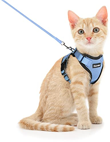 Dooradar Katzengeschirr mit Leine Ausbruchsicher, Katzenleine mit Geschirr für Katzen Mittelgroße, Reflektierend, Katzengeschirr Große Katze, XS, Hellblau