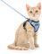 Dooradar Katzengeschirr mit Leine Ausbruchsicher, Katzenleine mit Geschirr für Katzen Mittelgroße, Reflektierend, Katzengeschirr Große Katze, XS, Hellblau