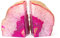 Crystal County Buchstützen, Achat, Geode, Pink, 1,8 - 2,7 kg
