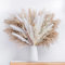 xiaoxiaozhijia 110 Stück Pampasgras Getrocknete Blumen,40cm Natürliche Trockenblumen Deko,Geeignet für Boho Wohnzimmer Schlafzimmer,Vase Nicht Inbegriffen