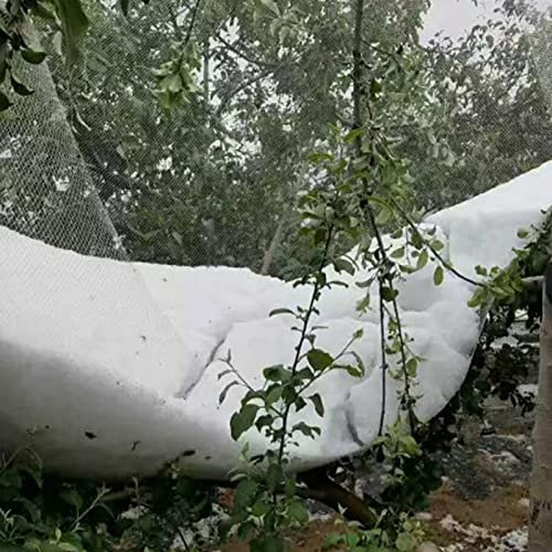 Rete da giardino per protezione delle piante, resistente, anti grandine, per serra, patio, gazebo, zanzariera, 2 x 5 m, flessibile e durevole (verde)