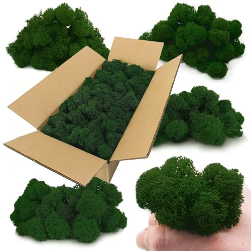 Scandinavian Moss Islandmoos Rentiermoos, stabilisiertes Moos, wartungsfrei, konserviertes finnisches Moos, gereinigt, Premium, für Wand- und Bilddekoration, Blumentöpfe und Wohndekoration 500g/0,5kg