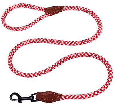 AllPetSolutions Rope Dog Lead - Heavy Duty Walking, Running, Outdoor Training Lead for Dogs - Anti-Tangle Leash with 360 Hook, Strong Clip, Easy Grip Loop Handle - Red/White, Braided Nylon, 120cm
