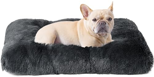 EHEYCIGA Flauschig Hundebett Kleine Hunde, Hundekissen Waschbar, Kuschelig rutschfest Hundematte mit Langem Plüsch, Dunkel Grau, 60x45cm