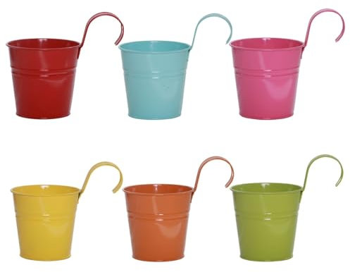 Lot de 6 pots de fleurs vintage à suspendre en métal avec crochet amovible pour clôture, balcon, jardin, mur, décoration d'intérieur, terrasse, avec trou de drainage (multicolore)