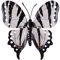 CIM Metall Wand-Deko - Schmetterling Zebra - 22cm - tierische 3D Wandbilder - Wandschmuck inkl. praktischer Wandbefestigung – Lebhafte Wandskulptur - Geschenkidee