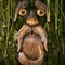 Baumgesicht Vogelfutterstation, Baum Gesichter Dekor, Alter Mann Baumgesicht, Neuheit Wildvogelfutter Station, Kunstharz Vogelfutter Station Garten Dekoration, Hof Im Freien Lustige Skurrile Dekor