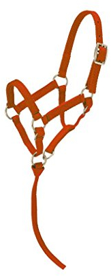 Tough 1 Damen Halfter Miniatur Sm, rot, Small Mini