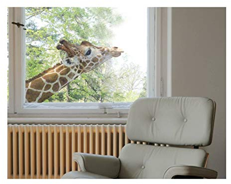 Fenstersticker Fensterfolie suchende Giraffe Fensterbilder 30 x 45cm