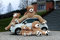 MKS XXL Teddybär mit Waschbarem Bezug | 130 cm Kuschelbär | Riesen Teddy mit strapazierfähigem Reißverschluss | Großer Teddybär mit plüschigem Polyester | Hypoallergenes Kuscheln mit XXL Kuscheltier