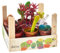 verdecora Caja Cactus de Colores 9 Unidades | Cactus y Crasas de Colores en macetas de Ø5,5cm | En Caja de Madera Decorativa