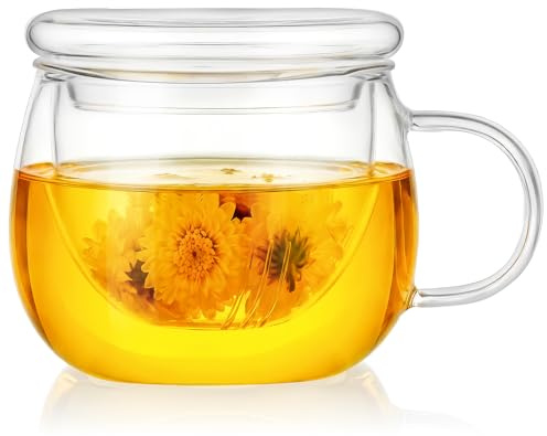 AOOTE Clear Borosilicate Glass Tea Infuser Mug, 400ml Tea Glass with Filter and Glasses Lid, Loose Leaf Teas Maker Gift Set for Blooming & Bagged Drinks, Teas Mug Christmas Birthday Gifts