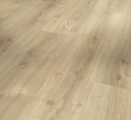Parador Dekorboden Laminat Basic 600 Eiche Nova hell gekälkt Naturstruktur Breite Landhausdiele 4-V-Fuge