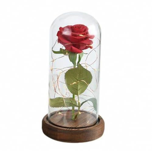Easylife Forever Rose LED Light, Light Up Rose in Glass Dome, LED Flower Lamp Rose Gift for Her, Beauty and the Beast Rose, 3xAAA Battery Powered (Not Included) - Fully Guaranteed