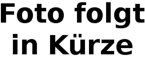 Flaggenfritze Fahne/Flagge Österreich Wien + gratis Sticker