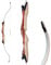 RAGIM Recurvebogen Wildcat 68 (ca. 173 cm) 18 bis 34 lbs 34