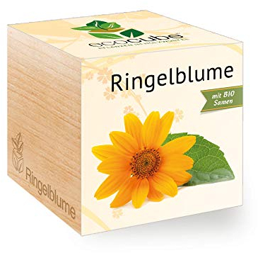 Ringelblume im Holzwürfel mit Bio-Samen