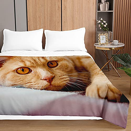 Chickw1 Tagesdecken Bettüberwurf, 3D Katze Drucken Sommer Tagesdecke mit Prägemuster Wohndecke aus Mikrofaser Bettdecke für Einzelbett Doppelbett oder Kinder (Orangene Katze,150x200cm)