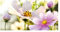 GRAZDesign Fensterfolie Blickdicht Motiv Blumen [80x57cm] für Fenster Bad & Dusche | Sichtschutzfolie Glastür, Badfenster, Flur, Farbe Silbergrau Milchglasfolie BxH