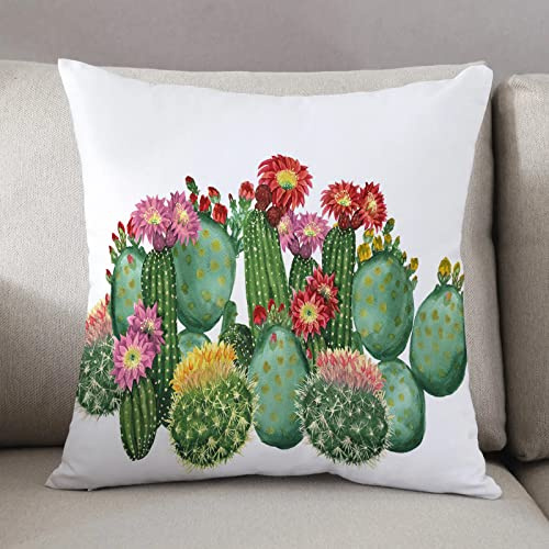 Kissenbezug 50 x 50 cm,Kaktus-Dekor, Saguaro Barrel Hedge Hog Feigenkaktus Opuntie tropische Botan,Dekor Kissenhülle Kissenbezüge mit Verstecktem Reißverschluss, Couchkissen,Sofakissen Kopfkissenbezug