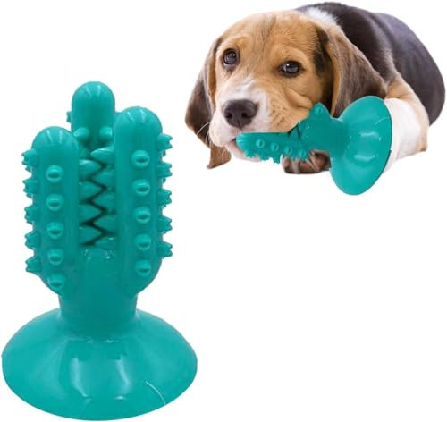 Smart Pet Chew Toy - Clever Cactus Design, Dental Care, Oral Hygiene, Exercise, Fun Distraction, Slow Chew Training, Toothbrush, Treats, Easy Clean, Durable Suction, Pet friendly Colours, Dogs & Cats