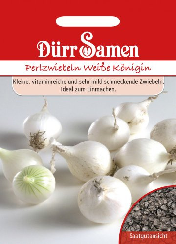 Perlzwiebeln Weiße Königin