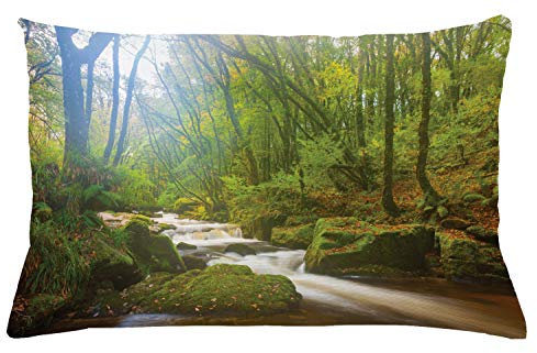 ABAKUHAUS Grün Kissenbezug, Wald in Golitha Falls, Dekokissenhüllen Waschbar Inn/Outdoor Beidseitiger Druck mit Reißverschluß, 65 x 40 cm, Grün Hellbraun