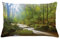 ABAKUHAUS Grün Kissenbezug, Wald in Golitha Falls, Dekokissenhüllen Waschbar Inn/Outdoor Beidseitiger Druck mit Reißverschluß, 65 x 40 cm, Grün Hellbraun