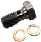 Stainless Steel Banjo Bolts M10x1.0 Brake Fitting Adapter Universal with M10 Copper Washers, Single Banjo Bolt M10x1 Metric Thread 20mm Length