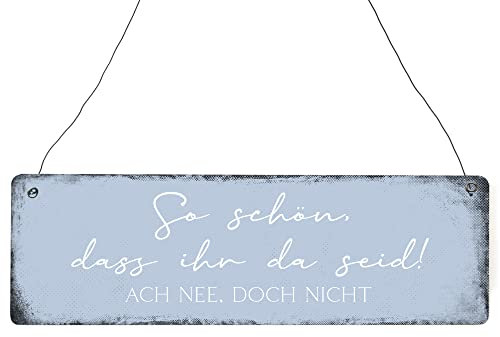 Interluxe Schild Holzschild - So schön dass ihr da seid - witziges Dekoschild Mitbringsel Freunde Gäste Besuch Türschild