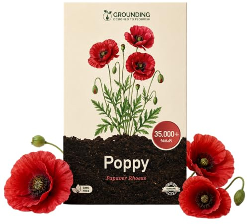 Grounding - Semillas de Amapola Roja “Flanders” (Papaver rhoeas), 35.000+ semillas - Alfombra de flores rojas para praderas floridas y parterres naturales, altura 50–60 cm - Calidad Europea