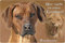 Nanyuk Rhodesian Ridgeback - A4 Alu Warnschild Hundeschild Schild Türschild - RRB 45 T55 P
