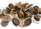 50 Ohrstecker für 12mm Cabochons Farbwahl Ohrringe Fassungen Rohlinge DIY basteln (Kupfer #S157)