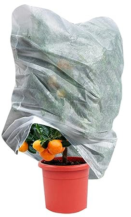 A2ZWORLD Capucha protectora para plantas y flores, saco de protección para árboles de invierno, TNT 17 g/m², protección anticongelante para árboles y flores (1 unidad, 150 x 360 cm)