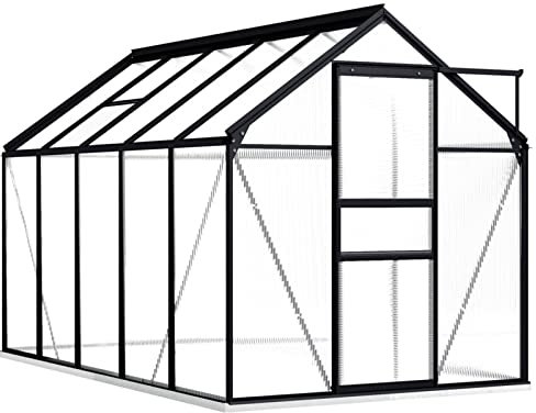 Begehbares Gewächshaus aus Polycarbonat mit Aluminiumrahmen Fundamentrahmen und Bodenbefestigung für Gartenpflanzen 190 x 310 x 202 cm 5,89 m²