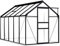 Begehbares Gewächshaus aus Polycarbonat mit Aluminiumrahmen Fundamentrahmen und Bodenbefestigung für Gartenpflanzen 190 x 310 x 202 cm 5,89 m²