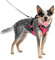PetSafe Easysport Harness, Medium, Pink