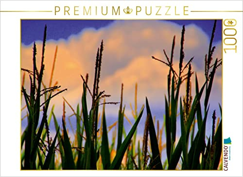 CALVENDO Puzzle Parkimpressionen aus Wörlitz | 1000 Teile Lege-Größe 64 x 48 cm Foto-Puzzle für glückliche Stunden