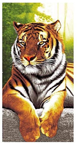 Große Strandtücher XXL Badetuch Schnell Trocknend Wasseraufnahme Extra Microfiber,3D Tiger Motiv Handtuch Erwachsene Kinder Jugend Herren Erwachsene Kuscheldecke Surfer (100 x 180 cm)