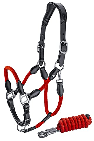 Sunride Halfter für Pferde aus Echtleder (Denver) mit Strick - verstellbar, gepolstert und anatomisch (Pony, schwarz/rot)