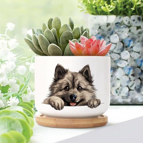 WoGuangis Keeshond Kleine Keramiktöpfe für Pflanzen, Hund, Mutter, Geschenk, Muttertags-Pflanzgefäße für Sukkulenten mit Drainage, Bambus-Tabletts, niedlich, lustig, Hund, Welpen, Keramik-Pflanztopf