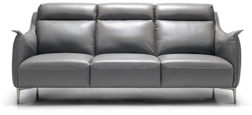 ZHCHAO Italienisches Holz-Skelettsofa, gebogen, dunkelgrau, Wohnzimmer, Ledersofa