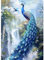 TOSTOG Diamond Painting für Erwachsene Anfänger,5D Pfau Diamant Painting Kits Bilder Landschaft DIY Full Drill Diamant Malerei Set 30x40cm für Wanddekor
