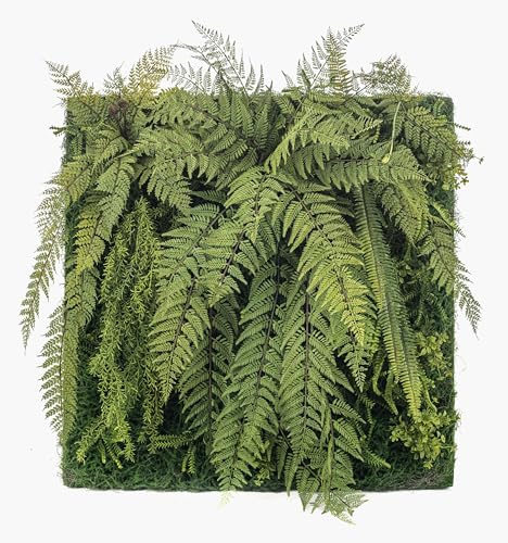 artplants.de Künstliche Farn Matte Asparagus ZALVEN, grün, 100x100cm | Kunst Farnmatte