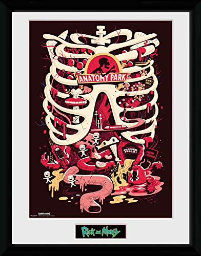 GB Eye Rick und Morty, Anatomie Park Poster, gerahmt, 30 x 40 cm, Verschiedene
