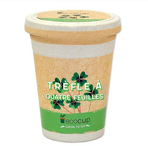 Feel Green Ecocup, Trèfle À Quatre Feuilles, Idée Cadeau (100% Ecologique), Grow-Your-Own/Kit Prêt-à-Pousser, Plantes Dans Coffee Cup 10 x 8 cm, Produit En Autriche