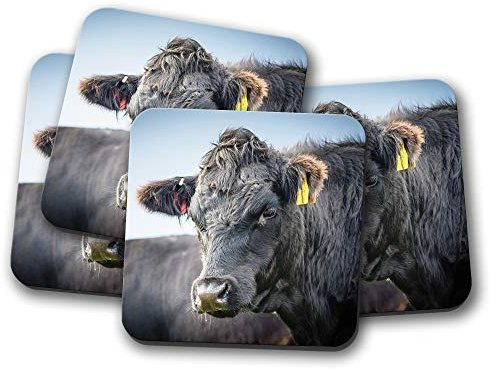 #16735 Untersetzer mit Kuh-Motiv, Motiv: Bulltiere, Bauernhof, Bauernhof, Papa, 4 Stück