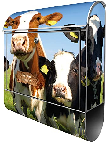 banjado® Design Briefkasten personalisiert Kühe 38,5x46,5x13cm & 2 Schlüssel - Briefkasten Stahl Silber Zeitungsfach pulverbeschichtet - Postkasten A4 Einwurf inkl. Montagematerial